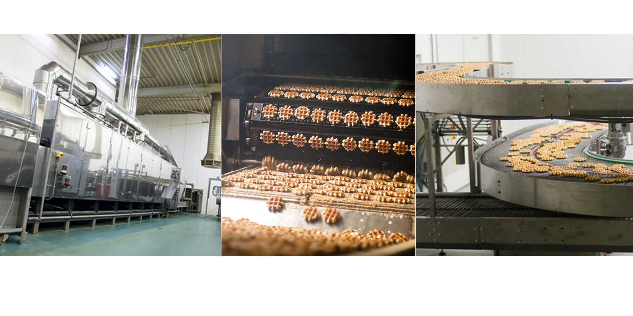 خط إنتاج الوافل بالفانيليا